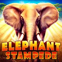 Elephant Stampede